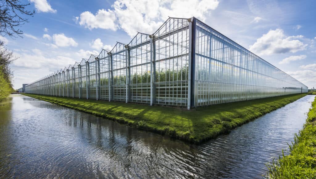 Nog lichte groei in meeste bedrijfssectoren in 2023