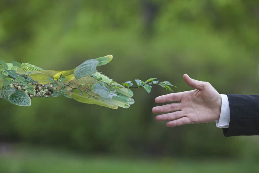 SDG managementsysteemnorm: geef uw mening