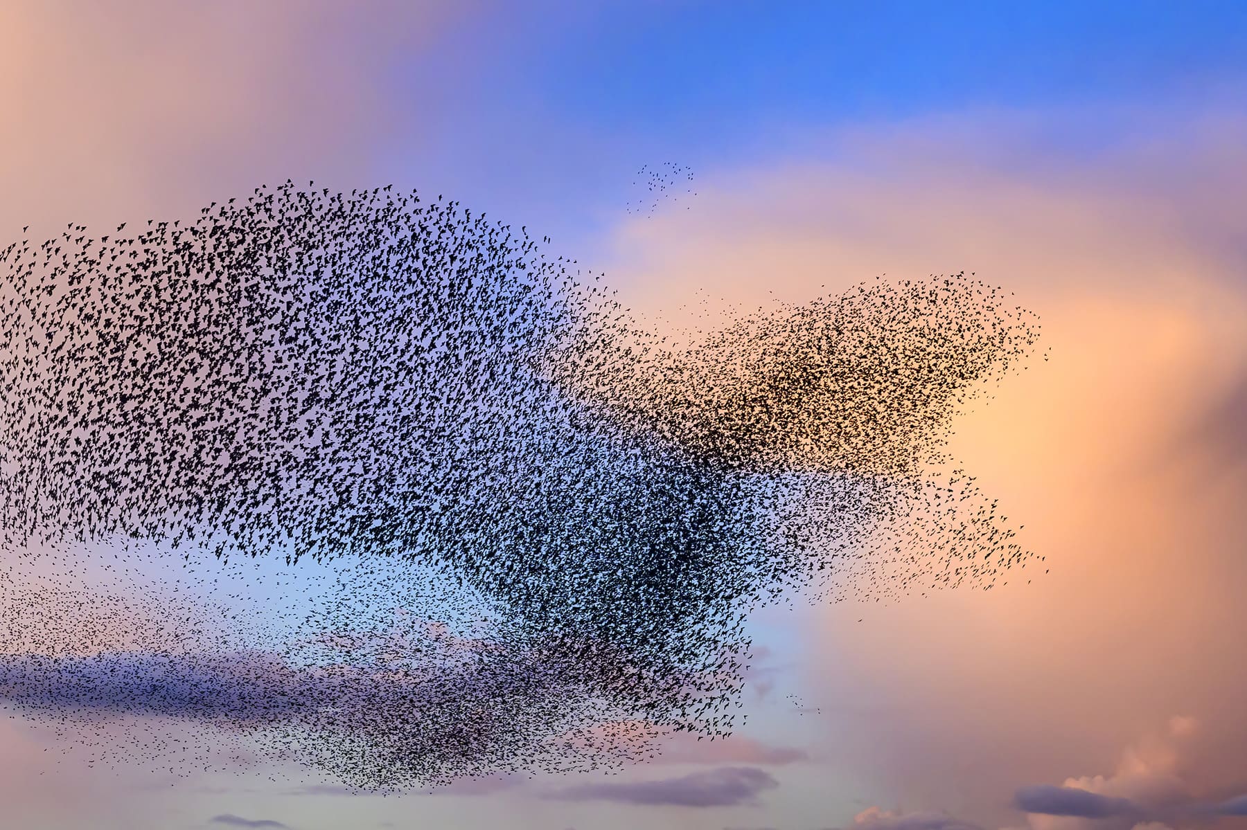 Moving As One
